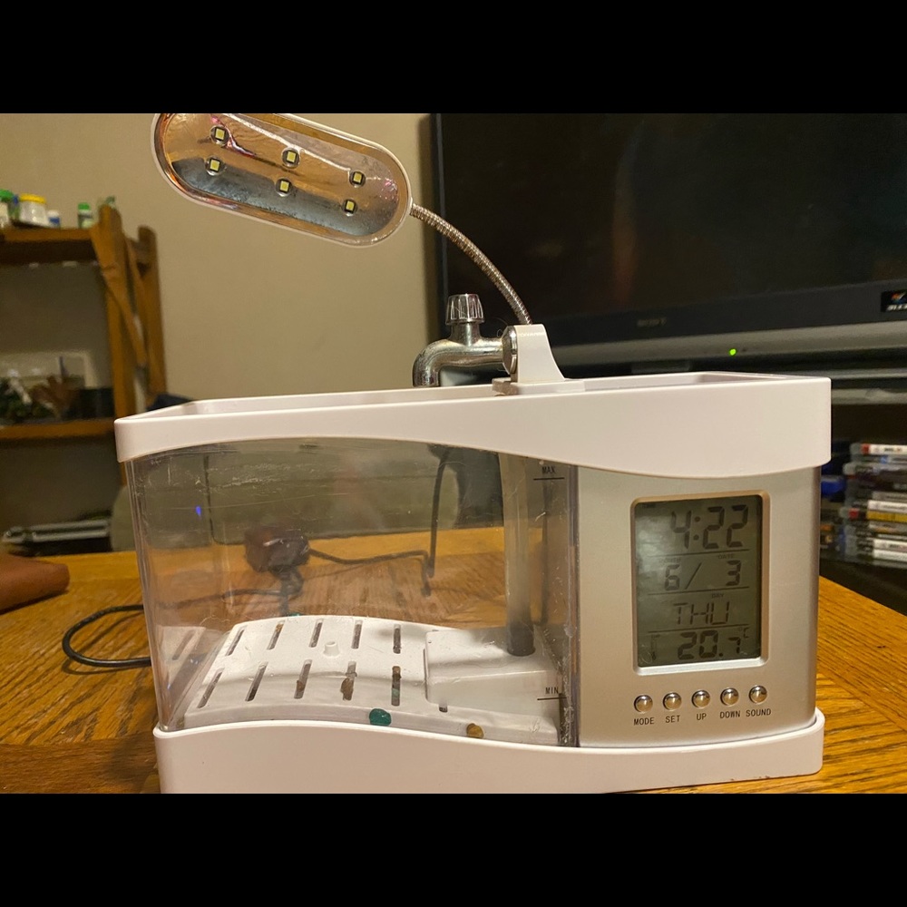 Fish tank - Picture 2 of 2